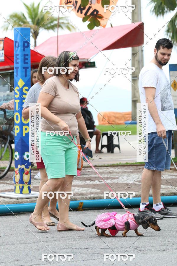 Buy your photos of the event13� C�ominhada - Santos on Fotop