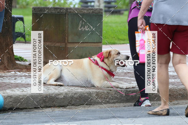 Buy your photos of the event13� C�ominhada - Santos on Fotop