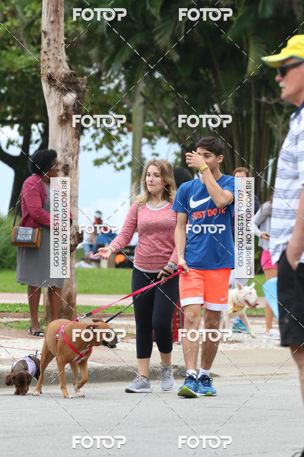 Buy your photos of the event13� C�ominhada - Santos on Fotop