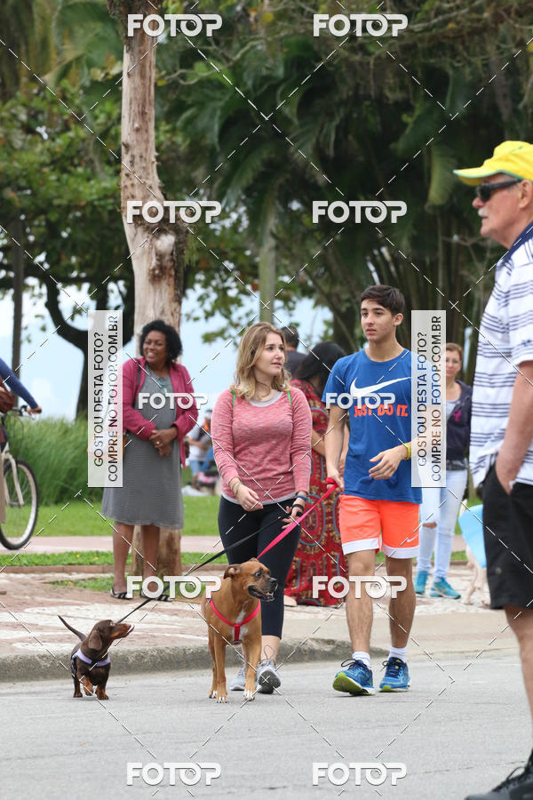 Buy your photos of the event13� C�ominhada - Santos on Fotop