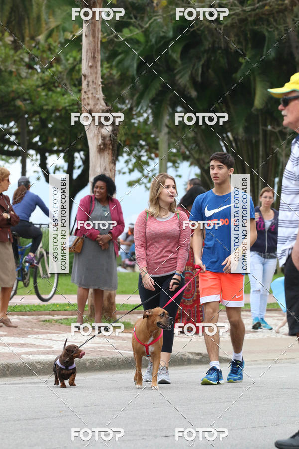 Buy your photos of the event13� C�ominhada - Santos on Fotop