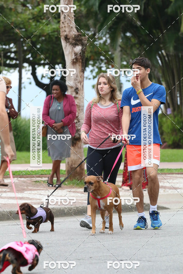 Buy your photos of the event13� C�ominhada - Santos on Fotop