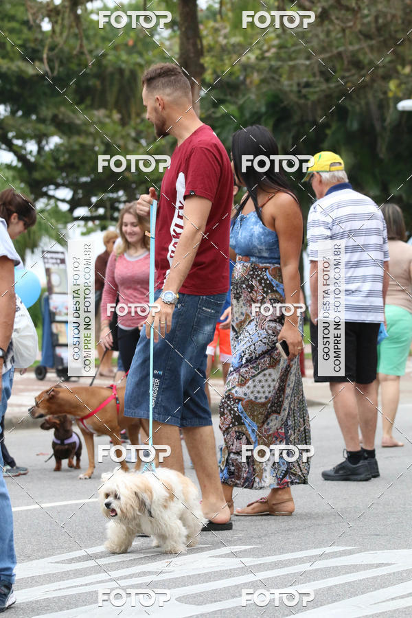 Buy your photos of the event13� C�ominhada - Santos on Fotop