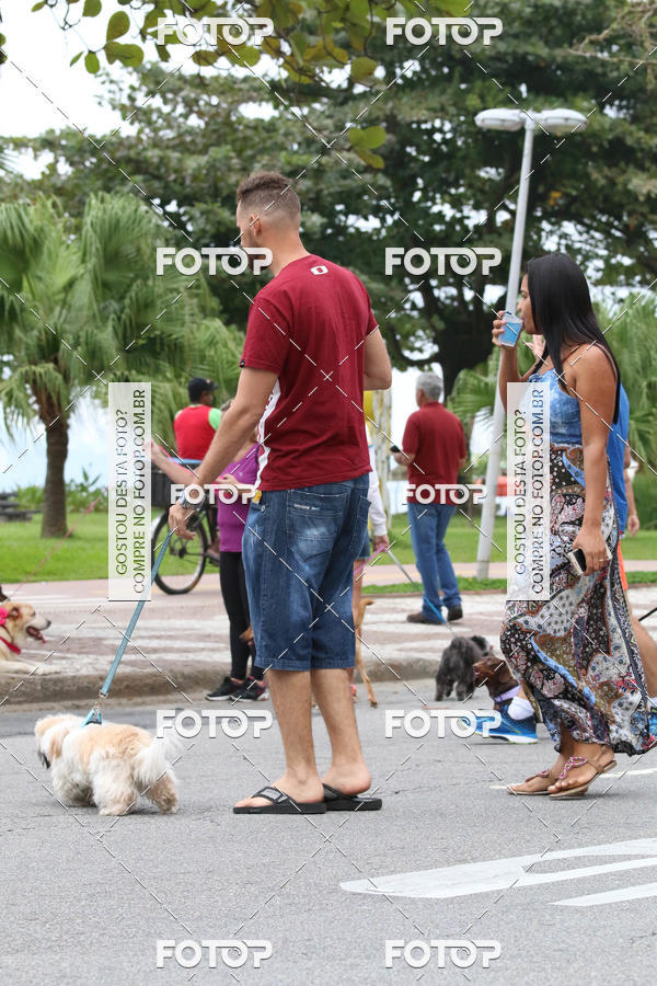 Buy your photos of the event13� C�ominhada - Santos on Fotop