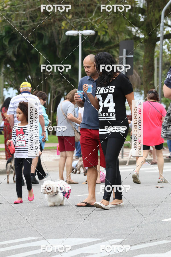 Buy your photos of the event13� C�ominhada - Santos on Fotop
