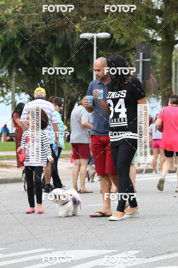 Buy your photos of the event13� C�ominhada - Santos on Fotop
