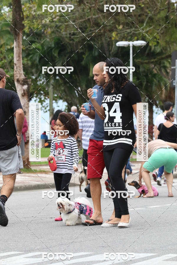 Buy your photos of the event13� C�ominhada - Santos on Fotop