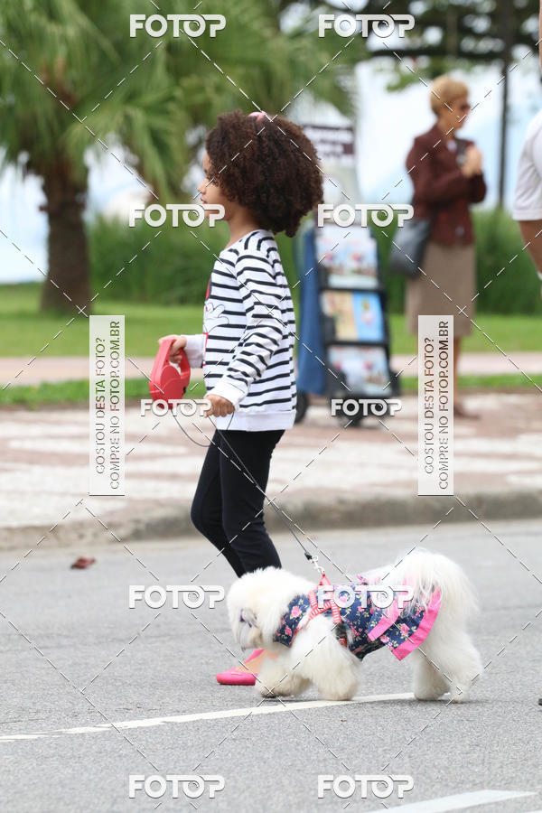 Buy your photos of the event13� C�ominhada - Santos on Fotop