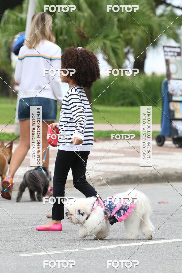 Buy your photos of the event13� C�ominhada - Santos on Fotop