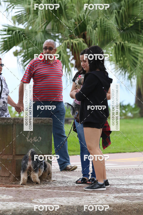 Buy your photos of the event13� C�ominhada - Santos on Fotop