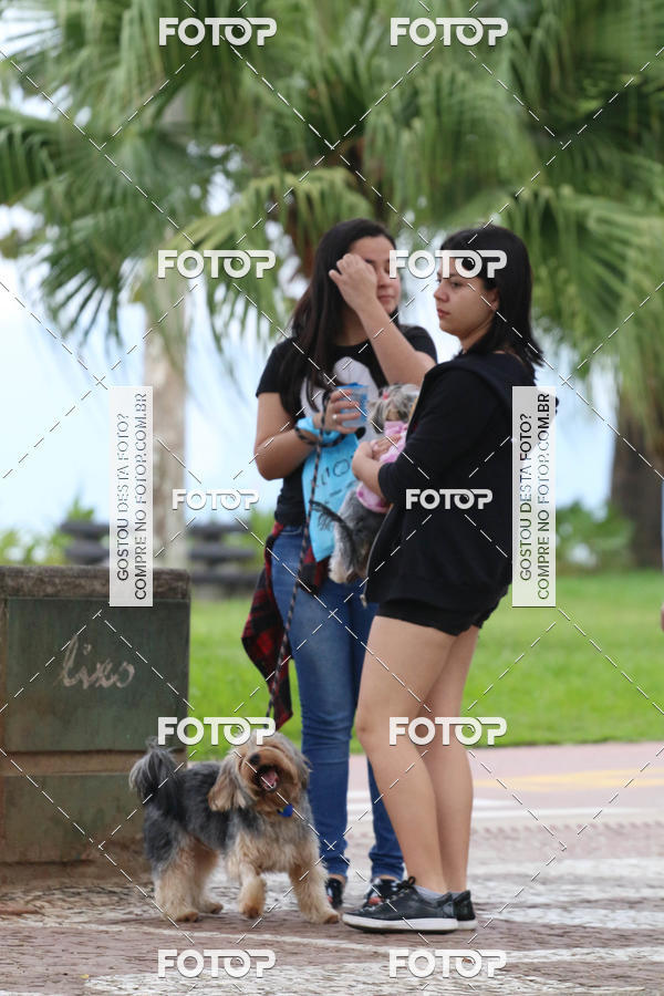 Buy your photos of the event13� C�ominhada - Santos on Fotop