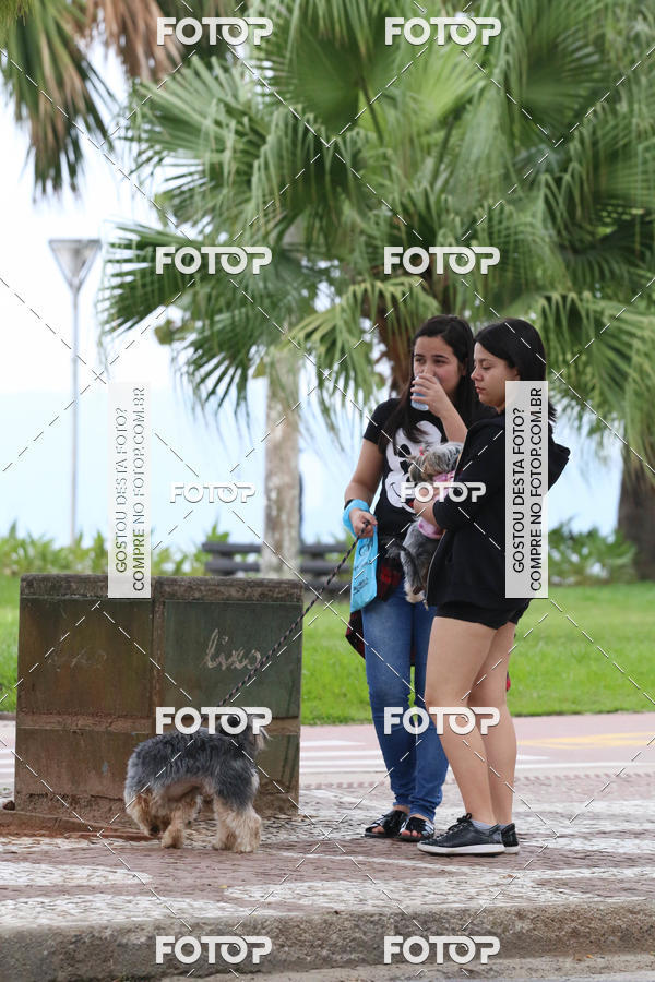 Buy your photos of the event13� C�ominhada - Santos on Fotop