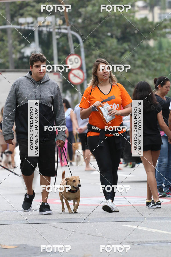 Buy your photos of the event13� C�ominhada - Santos on Fotop