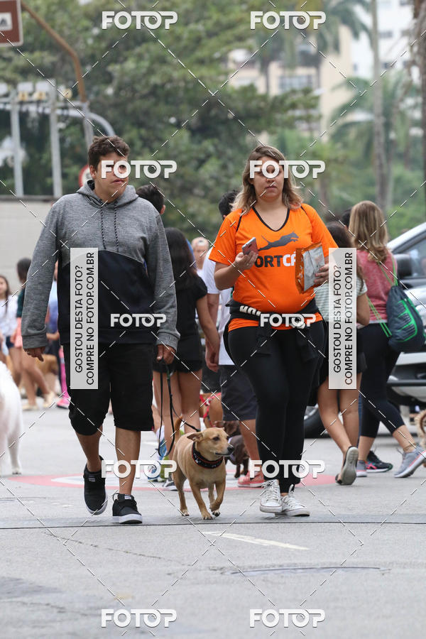 Buy your photos of the event13� C�ominhada - Santos on Fotop