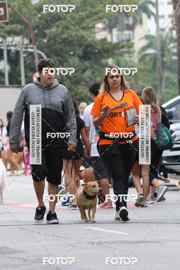 Buy your photos of the event13� C�ominhada - Santos on Fotop