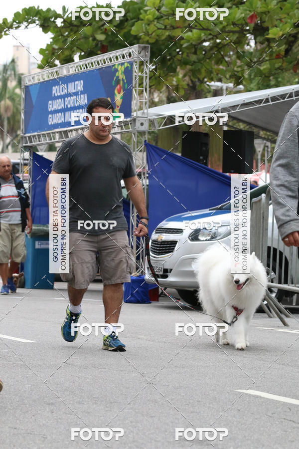 Buy your photos of the event13� C�ominhada - Santos on Fotop