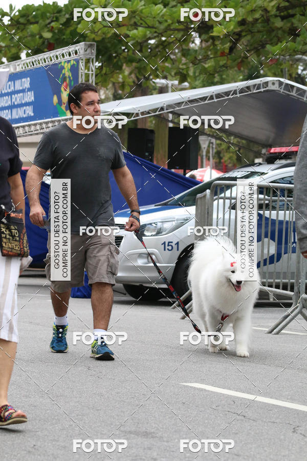 Buy your photos of the event13� C�ominhada - Santos on Fotop