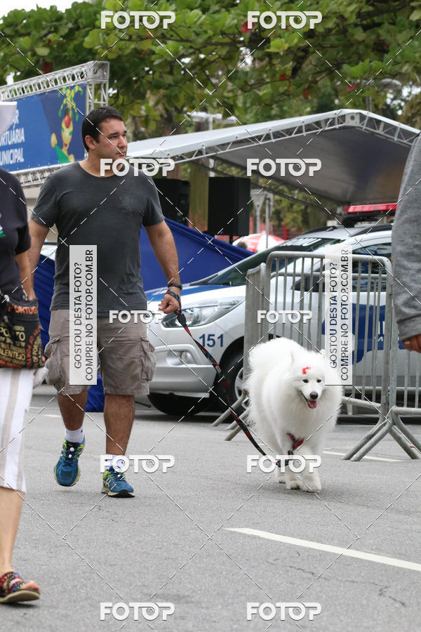 Buy your photos of the event13� C�ominhada - Santos on Fotop