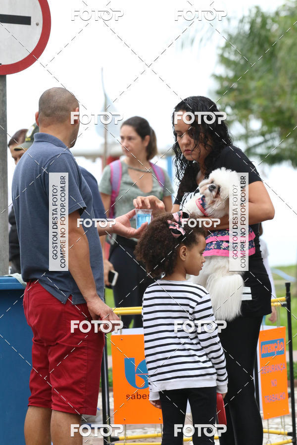 Buy your photos of the event13� C�ominhada - Santos on Fotop