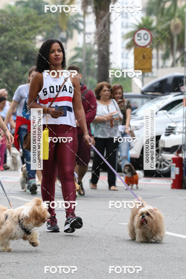 Buy your photos of the event13� C�ominhada - Santos on Fotop