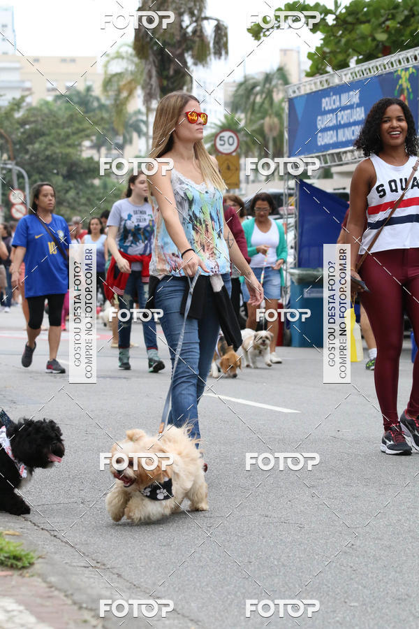 Buy your photos of the event13� C�ominhada - Santos on Fotop