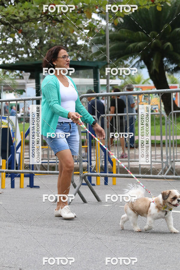 Buy your photos of the event13� C�ominhada - Santos on Fotop