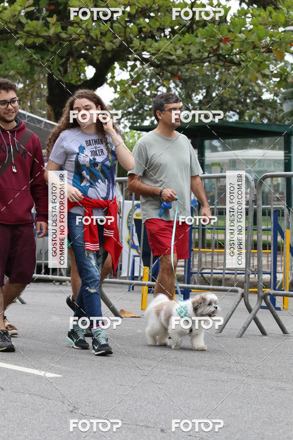 Buy your photos of the event13� C�ominhada - Santos on Fotop