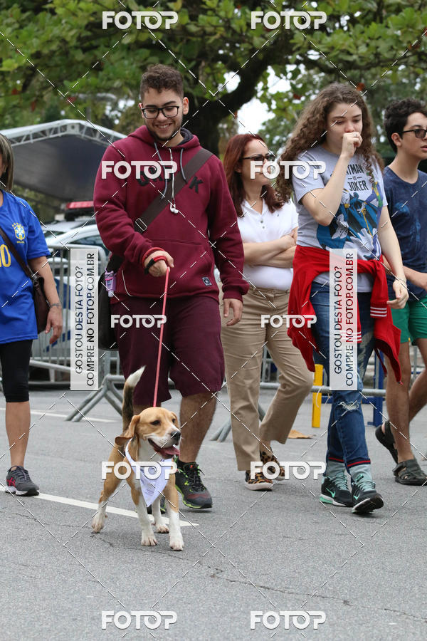 Buy your photos of the event13� C�ominhada - Santos on Fotop