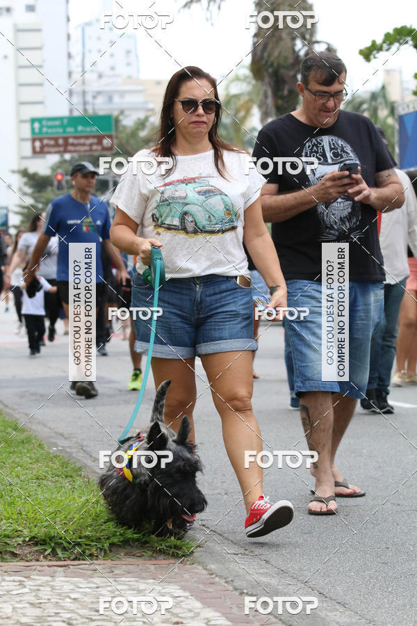 Buy your photos of the event13� C�ominhada - Santos on Fotop