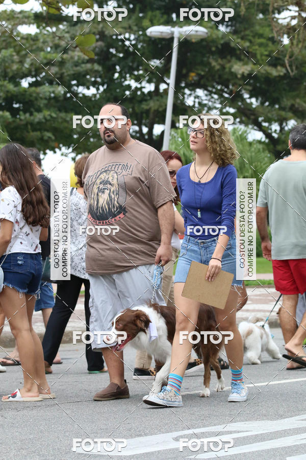 Buy your photos of the event13� C�ominhada - Santos on Fotop