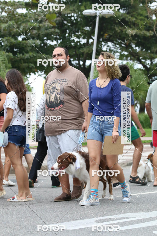 Buy your photos of the event13� C�ominhada - Santos on Fotop