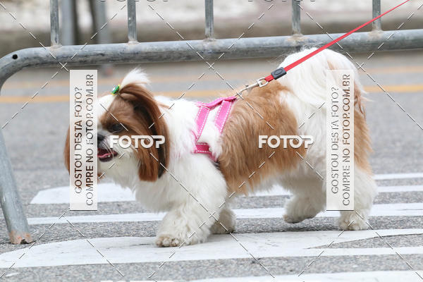 Buy your photos of the event13� C�ominhada - Santos on Fotop