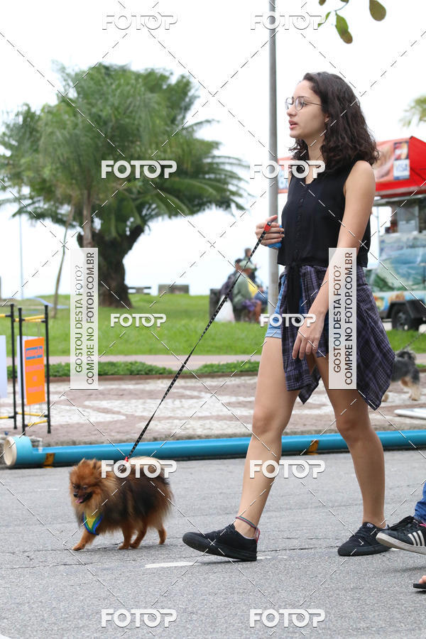 Buy your photos of the event13� C�ominhada - Santos on Fotop