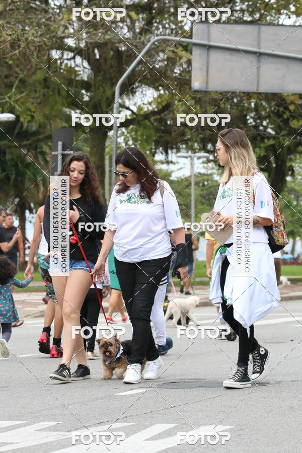 Buy your photos of the event13� C�ominhada - Santos on Fotop