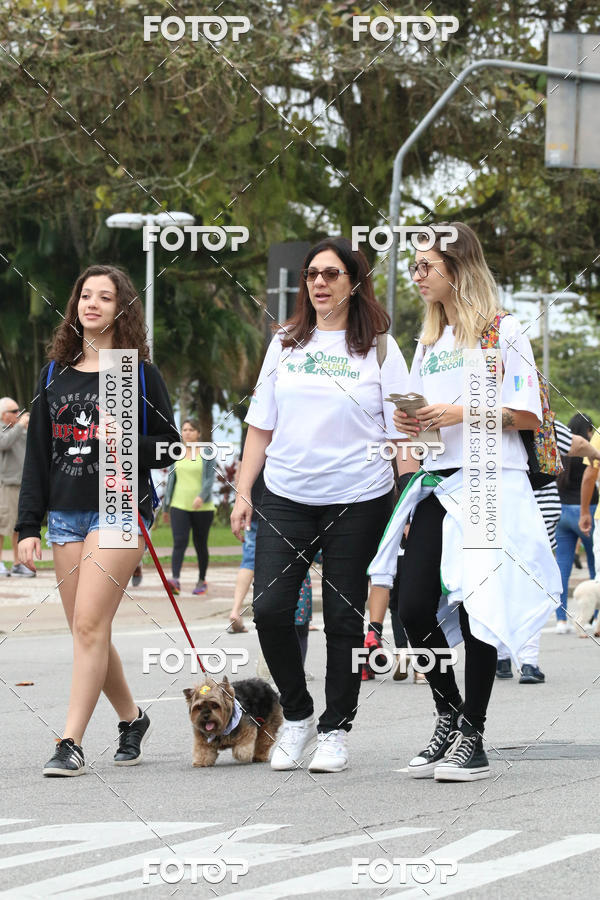 Buy your photos of the event13� C�ominhada - Santos on Fotop