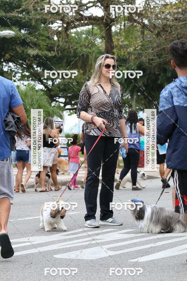 Buy your photos of the event13� C�ominhada - Santos on Fotop