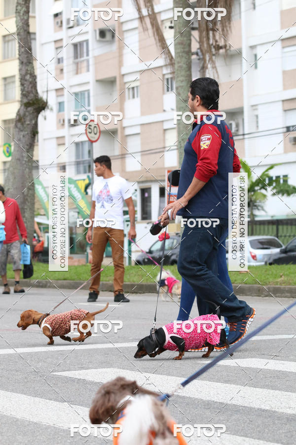 Buy your photos of the event13� C�ominhada - Santos on Fotop