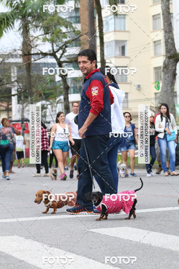 Buy your photos of the event13� C�ominhada - Santos on Fotop