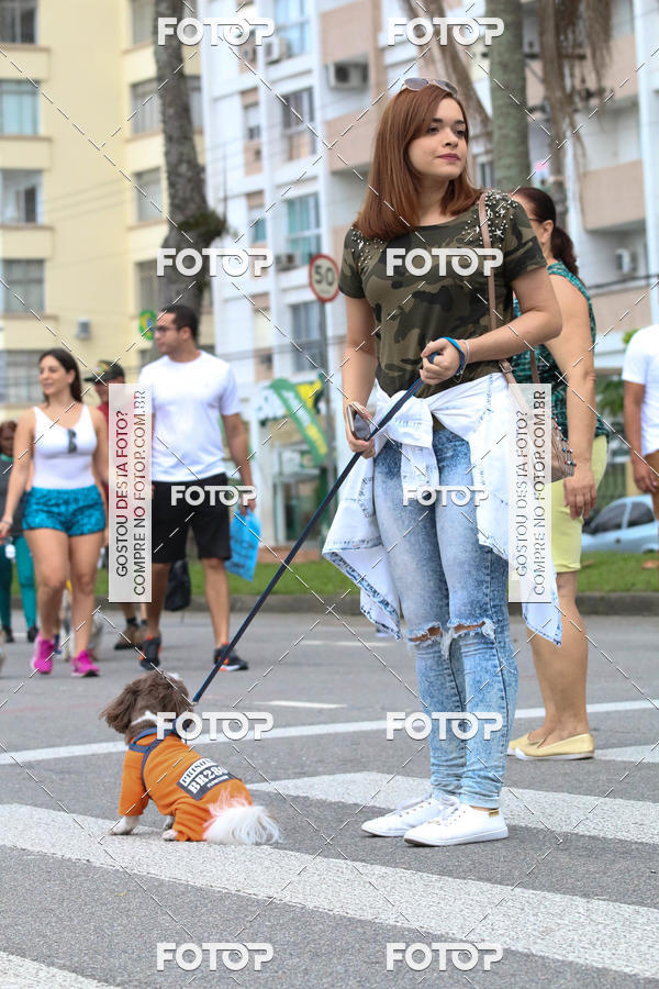 Buy your photos of the event13� C�ominhada - Santos on Fotop