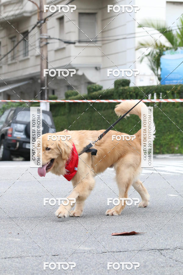 Buy your photos of the event13� C�ominhada - Santos on Fotop