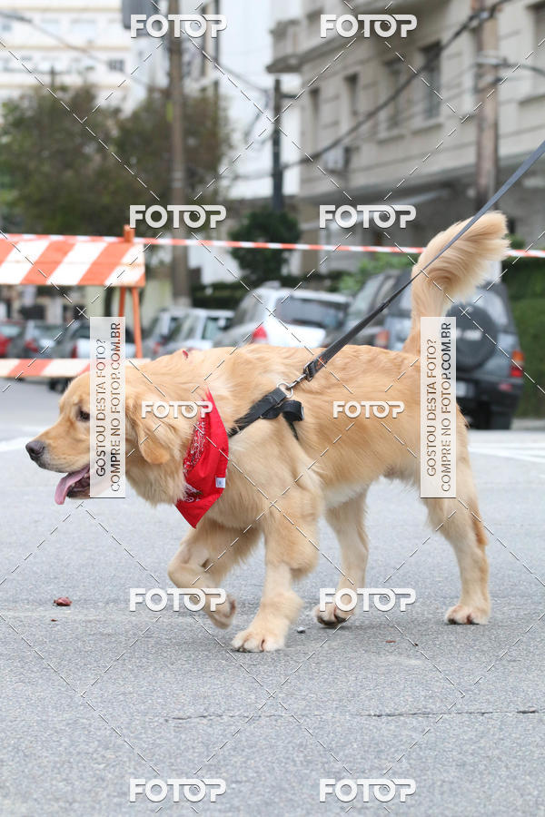 Buy your photos of the event13� C�ominhada - Santos on Fotop