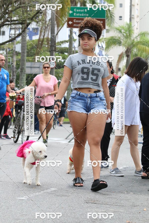 Buy your photos of the event13� C�ominhada - Santos on Fotop