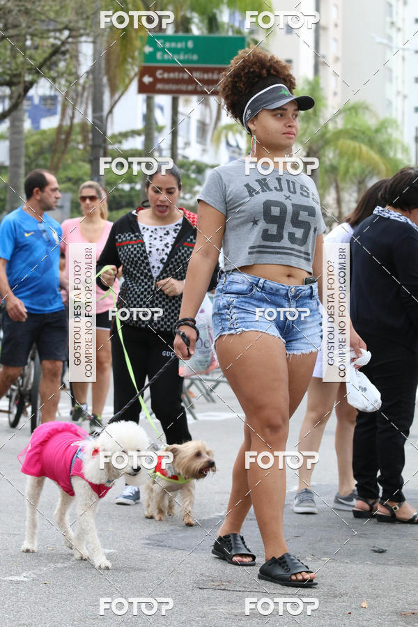 Buy your photos of the event13� C�ominhada - Santos on Fotop