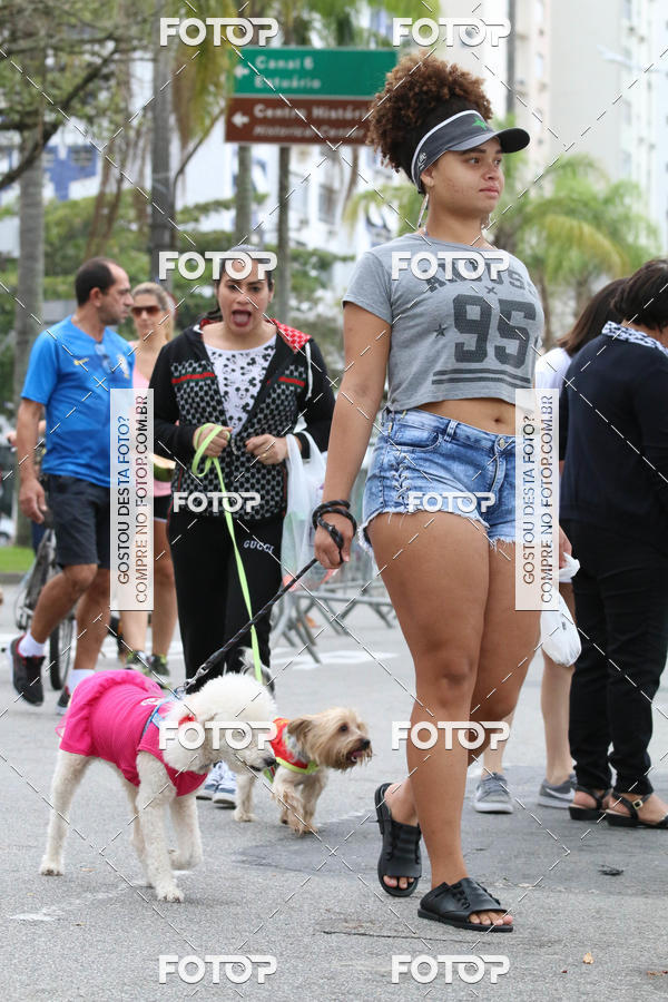 Buy your photos of the event13� C�ominhada - Santos on Fotop