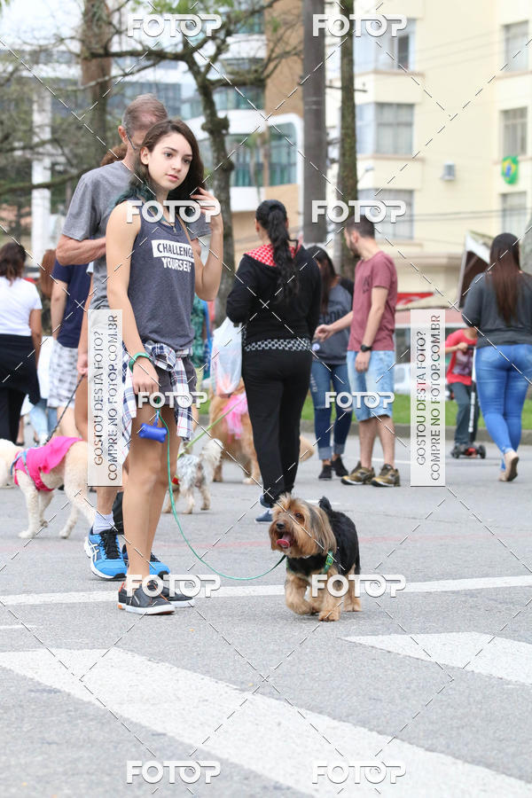 Buy your photos of the event13� C�ominhada - Santos on Fotop