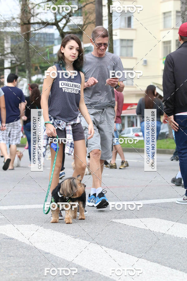 Buy your photos of the event13� C�ominhada - Santos on Fotop