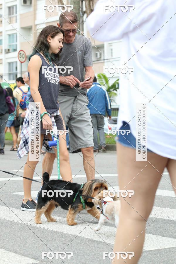 Buy your photos of the event13� C�ominhada - Santos on Fotop