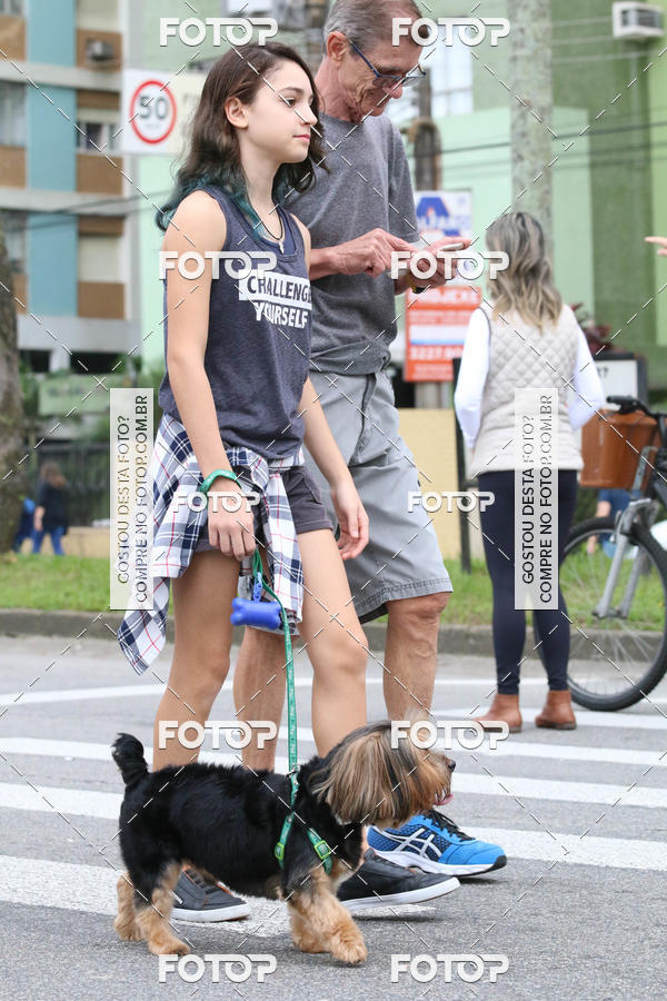 Buy your photos of the event13� C�ominhada - Santos on Fotop