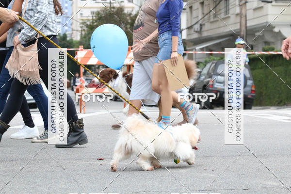 Buy your photos of the event13� C�ominhada - Santos on Fotop