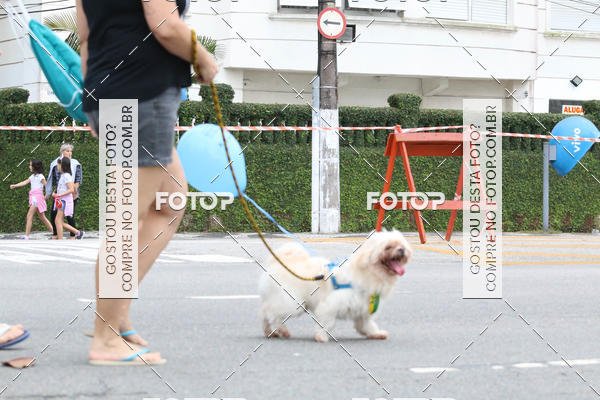 Buy your photos of the event13� C�ominhada - Santos on Fotop